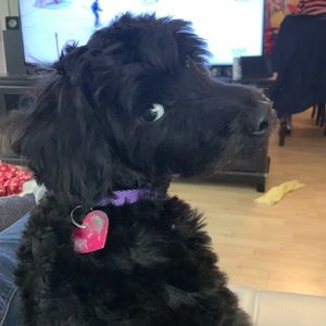 Meet your Posher, Jeanette